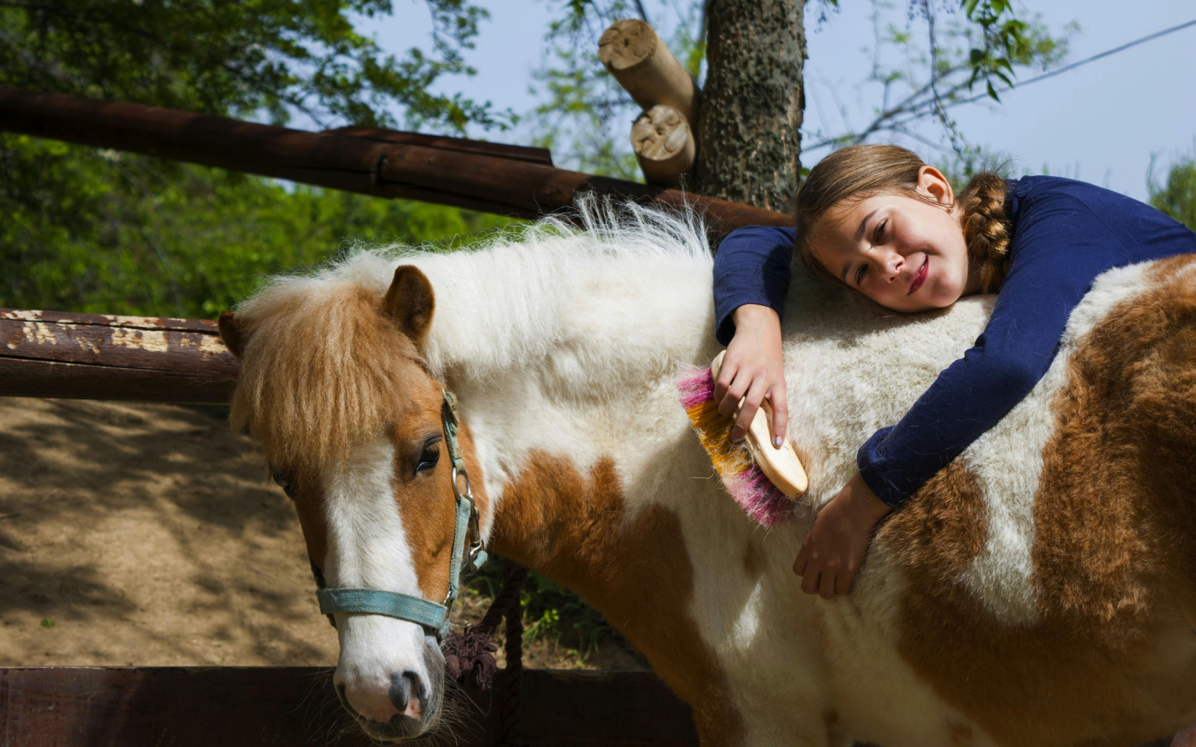 Stallet-mer än bara ridning